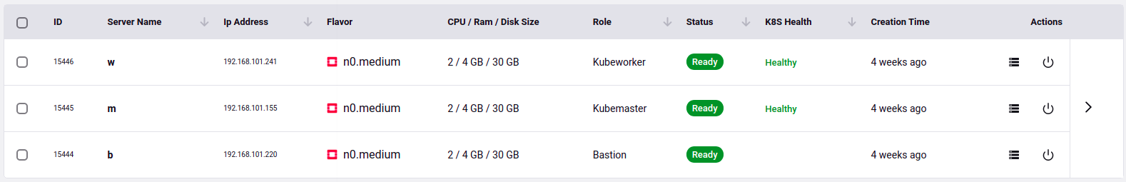 Servers for K8s Project
